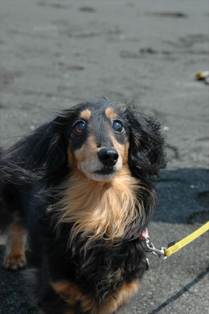 何か訴えてるね・・なーに？