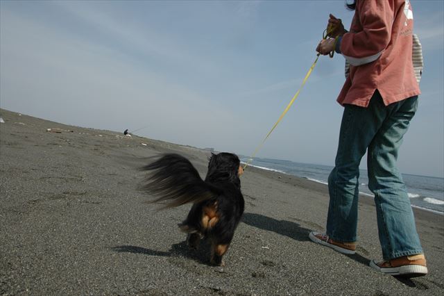 気持ちいいな、最高だな。