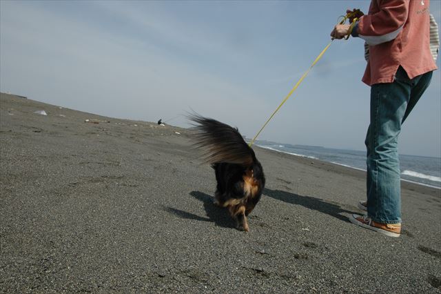 幸せだったよ。ルパンが隣にいるだけで幸せだったよ。