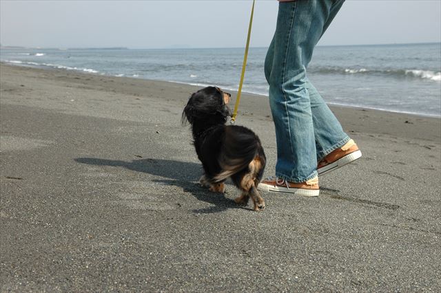 いつもこんな風に私を見上げてくれてたね。