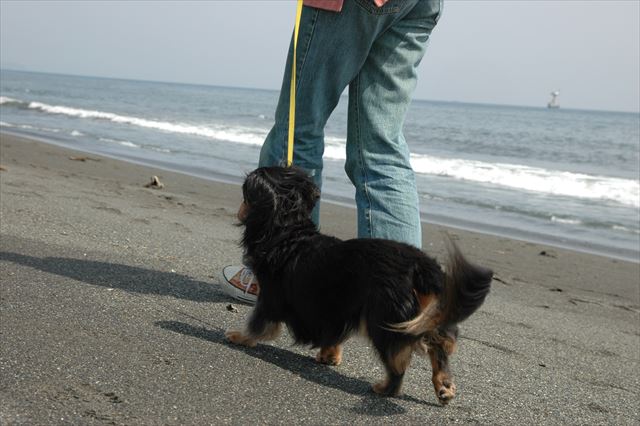 ルパンと手つないで。幸せだったよ、ルパン。