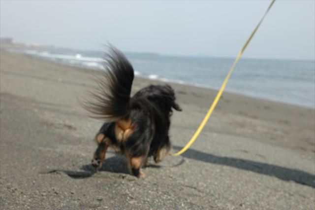 お尻もかわいい。全部かわいい。