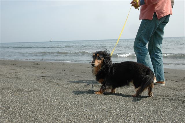 ん？何か気になるね・・