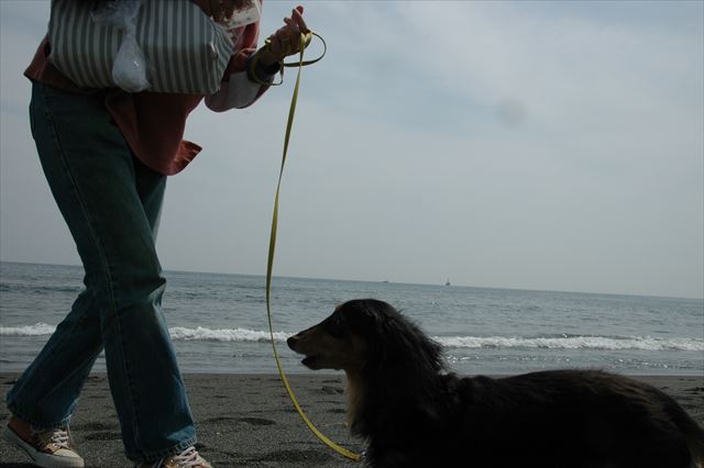 浜辺で遊ぶ！　こういうの最高に幸せだったよ。