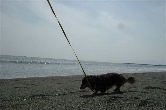 幸せな時間だったよ、ルパン。