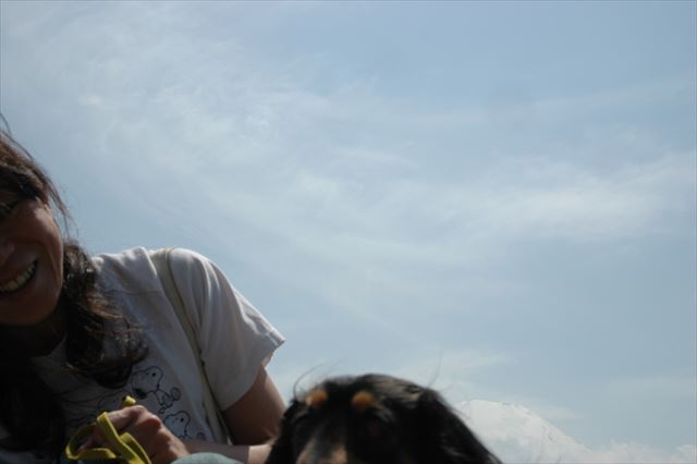 初夏の陽気。空がきれい。ルパンがいるから幸せ。