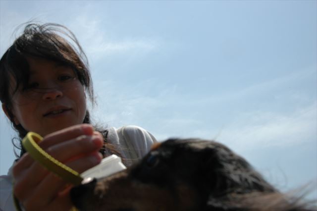 るーちゃん。あげるよ、ごほうび。