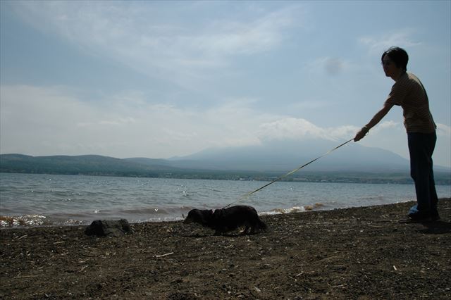 ルパンは富士山よりそこが気になるね！