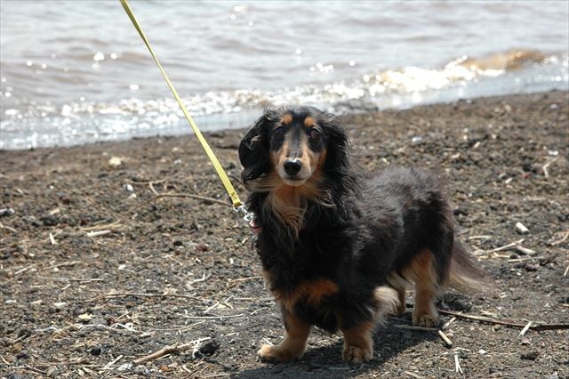 ん？どうした？ここにいるよ。大丈夫だよ。