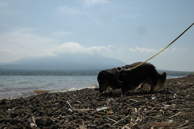 富士山だね！・・ルパンは下が気になるね。