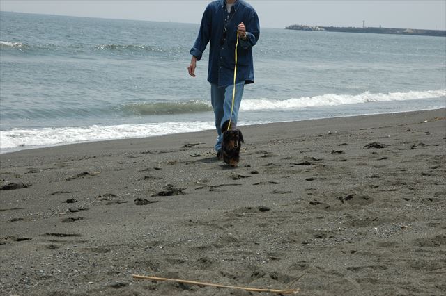 いい風景だな。空と海、大事な家族。