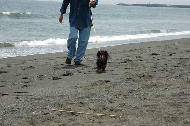 家族で過ごす休日。ルパンのいる休日。