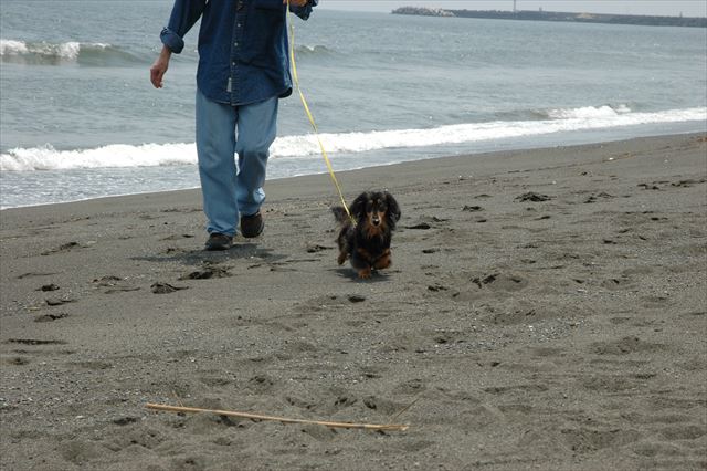 がんばれがんばれ・・！