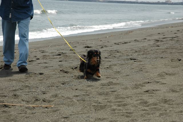 かわいい。この前足がかわいい♪