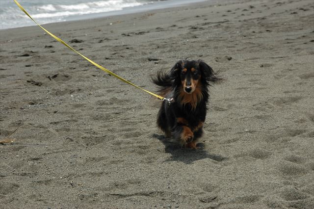 この前足・・！かわいい♪♪