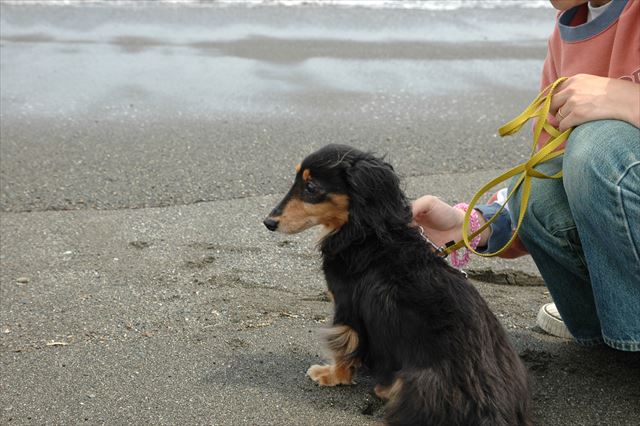 それ以上行くと濡れちゃうからね・・！