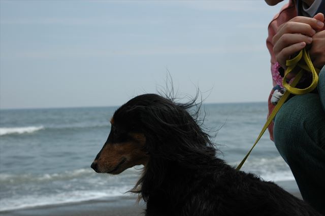 海、見てるの？心の目で見てるの？