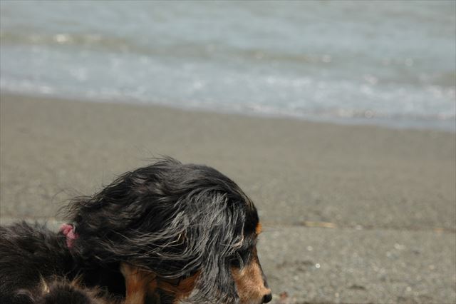 ルパン、大好きだよ。今も何も変わらないよ。