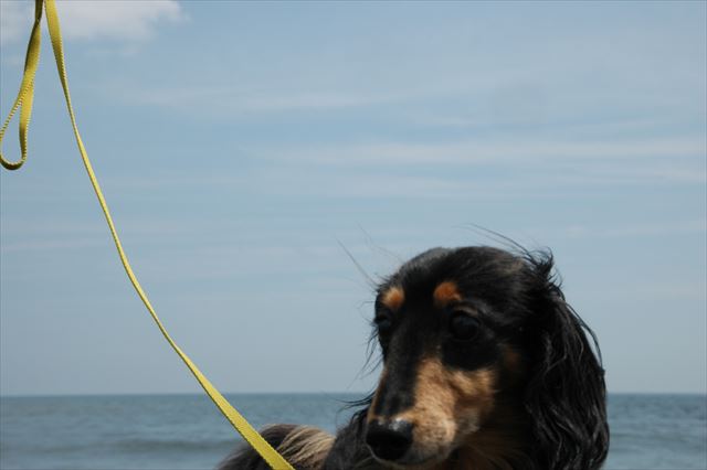 青い空。青い海。そしてルパン。