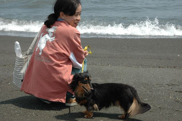 ルパンと海が見たくて湘南まで車飛ばしたよ