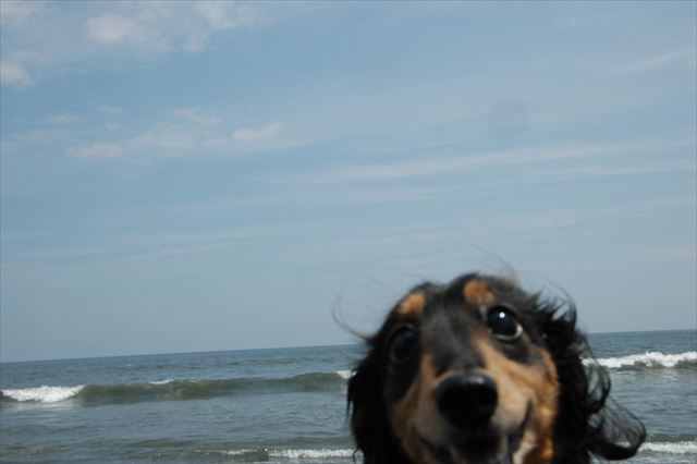 笑ってる！　そして私も笑ってる♪