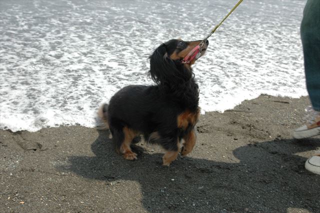 おーーーーっと危ない（笑）