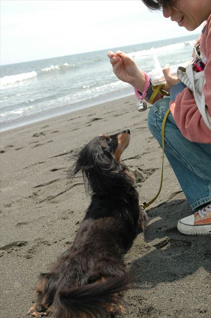 「ふせ♪」お腹ペタンがかわいい！