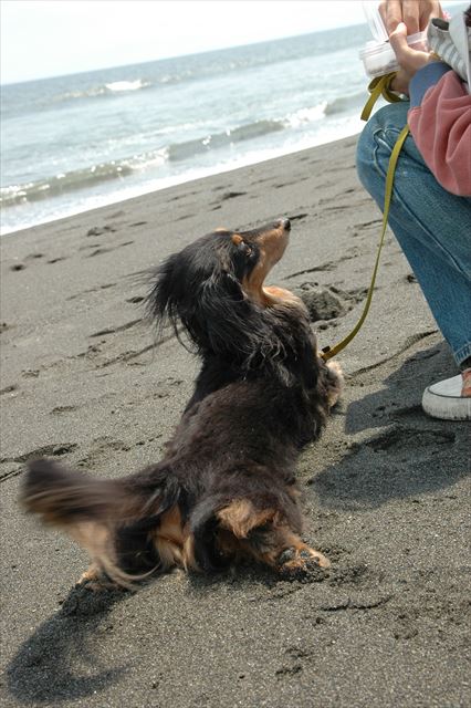 この足が。お尻が。なんてかわいいの・・