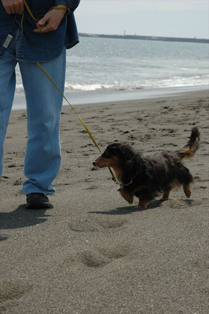 歩調を合わせて。上手上手・・歩くの上手。