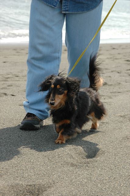頑張り屋さんだった。いつでも一生懸命だったよね。