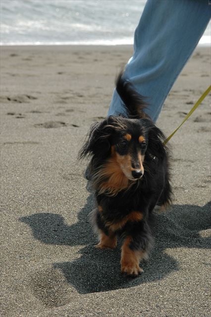 ふふ。元気、元気。今日もルパン元気。