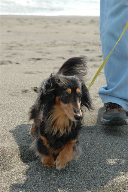 「どこに行こうか？」「ルパンが行って楽しいところ！」