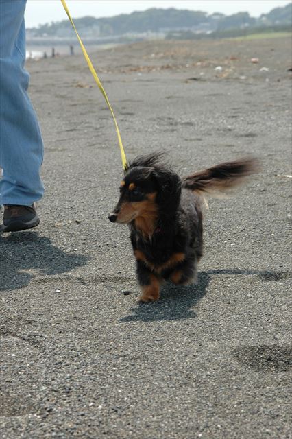 ルパンと一緒の休日。最高に幸せな１日。