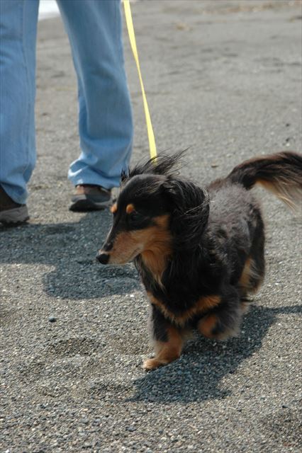おててつないでる気持ちだよ・・。