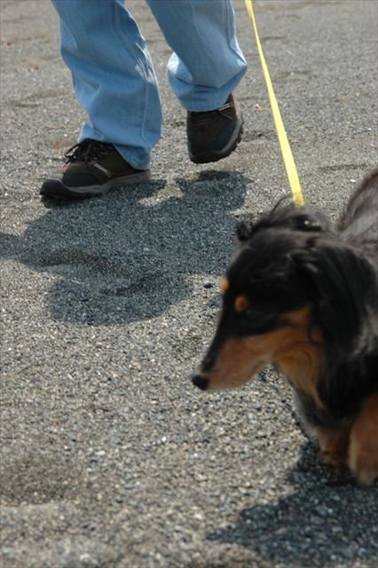 ルパンのいる休日。家族で過ごす休日。