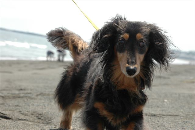 ルパン♪　大好き♪