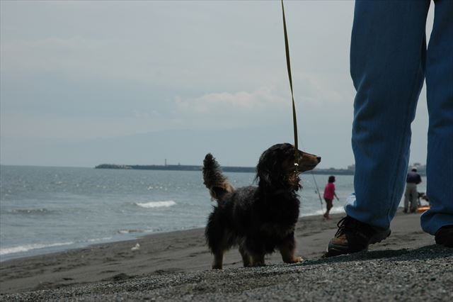 かわいいな。papaに寄り添ってかわいいな。