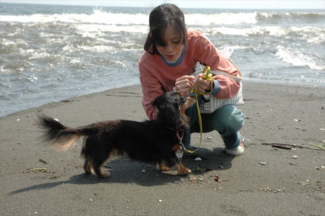 あそぼあそぼ！！