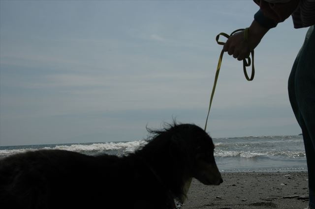 ルパンのシルエット。かわいいシルエット。