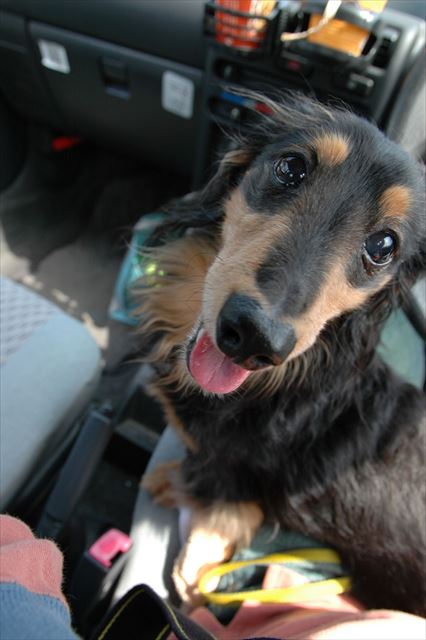 ル・パ・ン♪ 呼びかけたくなるね。