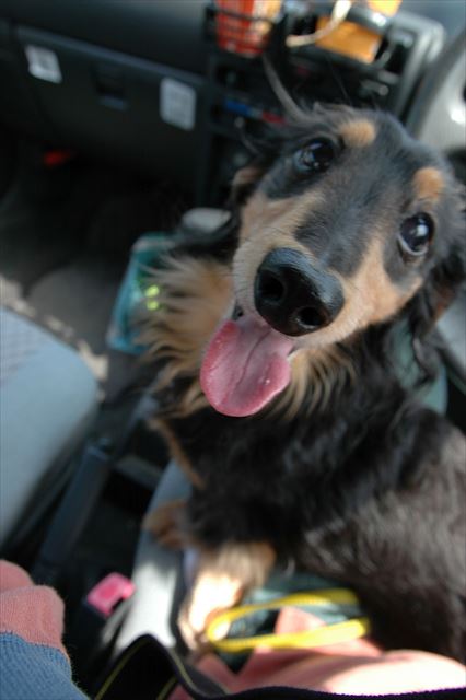 ルパンの笑顔、大好き！