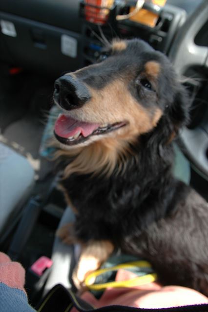 よく歩いたね。遊んだね。暑いね、お水飲む？