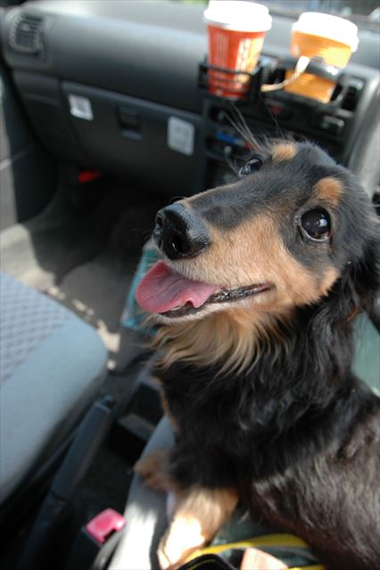 海、楽しかった？