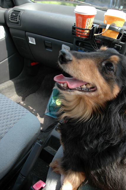 ルパン、楽しい？私、楽しいよ！！