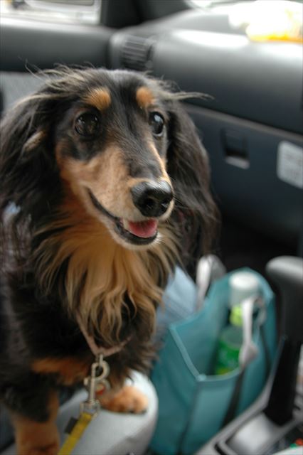 ルパンのこんな笑顔、もう一度見たいよ。会いたいよ。