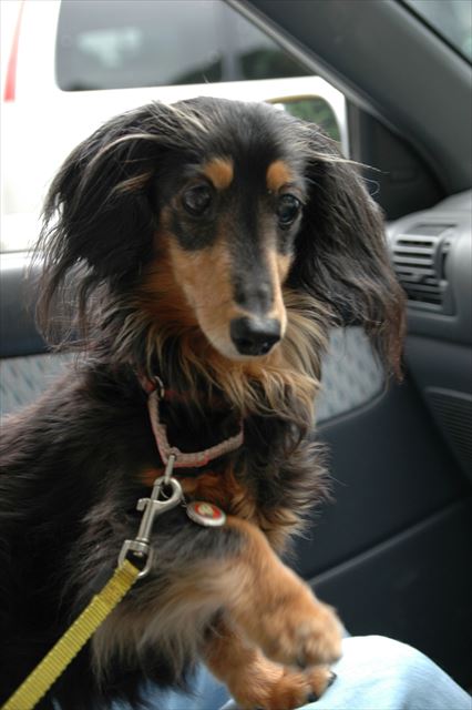 ちょうだい♪　かわいいアピール