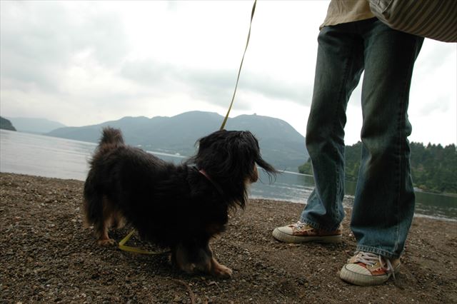 芦ノ湖。お天気悪かったけどルパンがいれば幸せ。