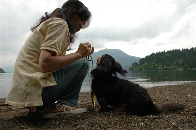 ルパンと一緒に芦ノ湖まで来たよ。天気悪くても心は晴れ！
