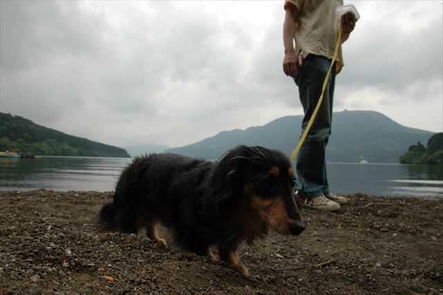 何か見てるね。心の目で見てるね。