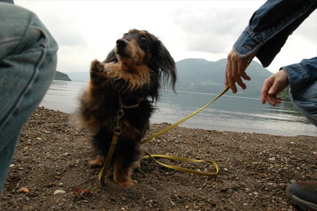 ルパンくん、は一い!